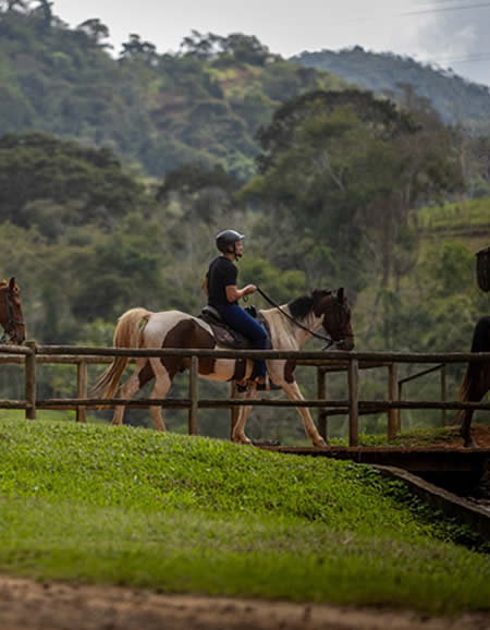 Passeio a cavalo por estradas internas do Hotel Fazenda Gamel