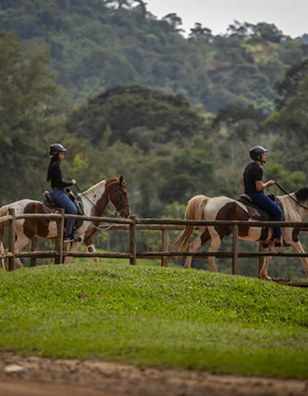 Grupo de hóspedes em passeio a cavalo pela fazenda da Gamela