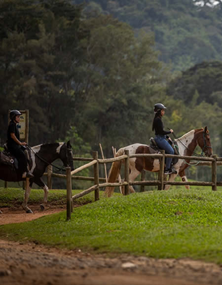Trilha de 4 km a cavalo no Hotel Fazenda
